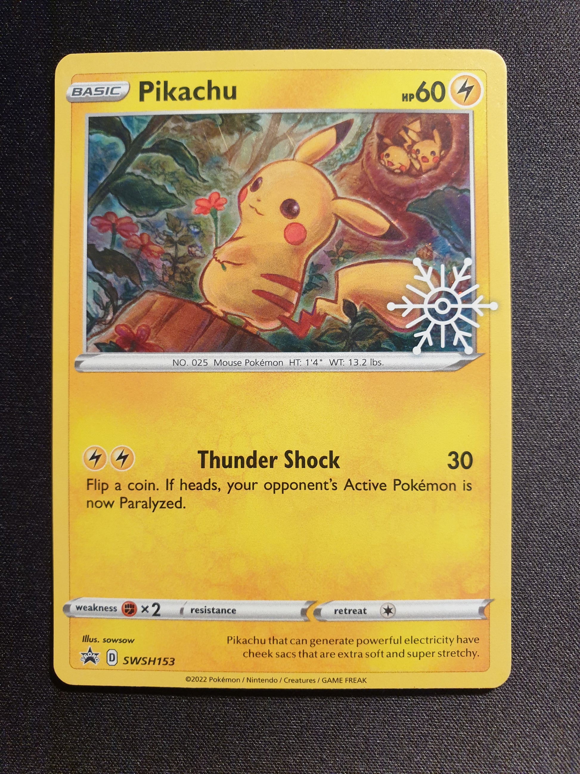 Pikachu SWSH153 (Mint Condition) - Holiday Calendar - TCG Trainers