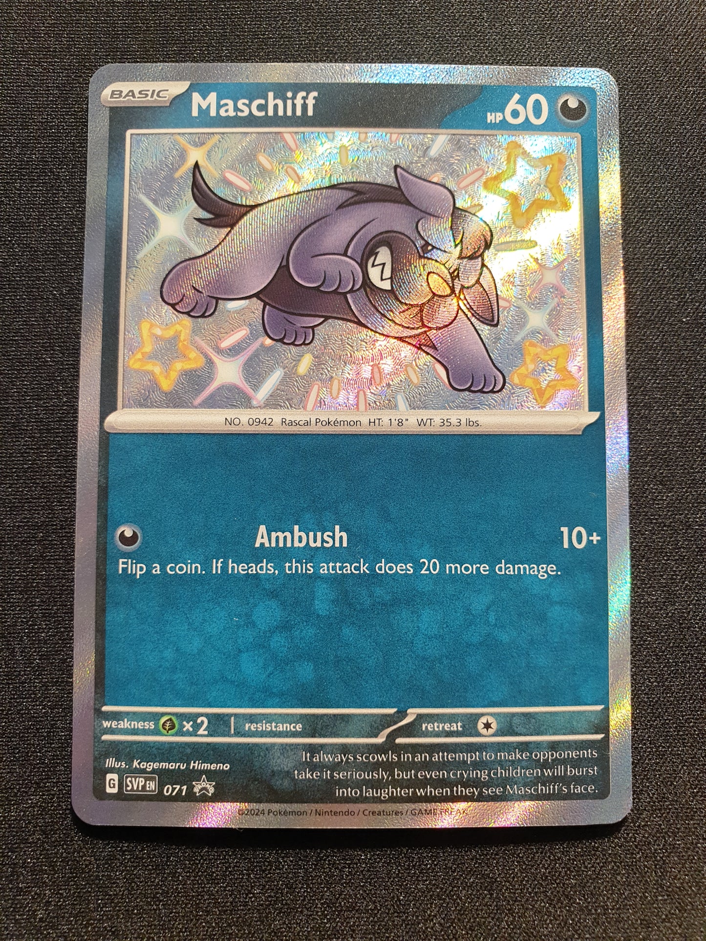 Maschiff SVP071 (Mint Condition) - Promo Card - TCG Trainers