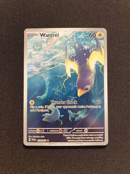 Wattrel 178/167 (Mint Condition) - Twilight Masquerade - TCG Trainers