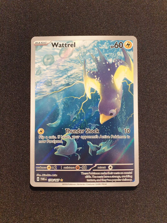 Wattrel 178/167 (Mint Condition) - Twilight Masquerade - TCG Trainers