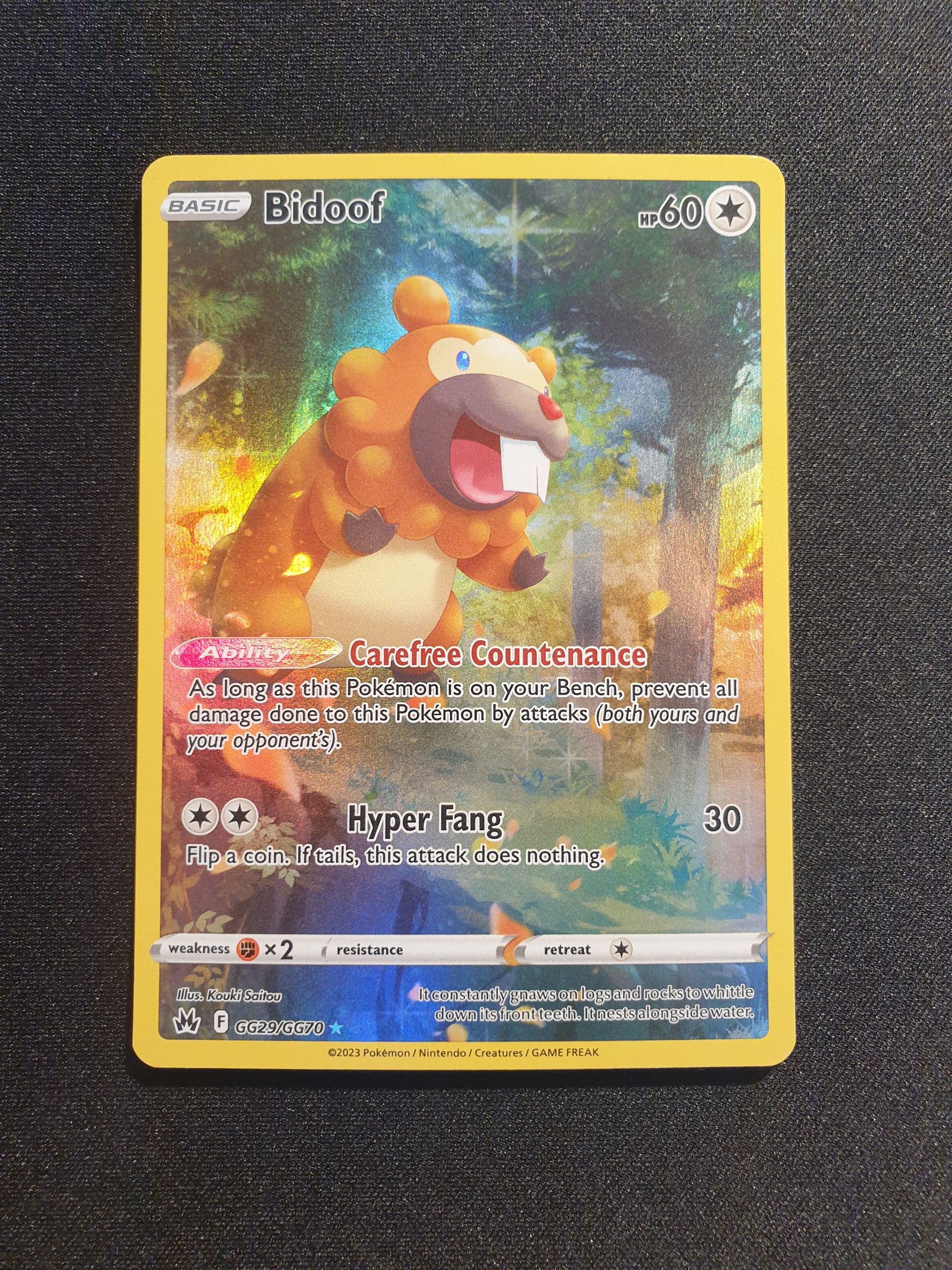 Bidoof GG29/GG70 (Mint Condition) - Crown Zenith