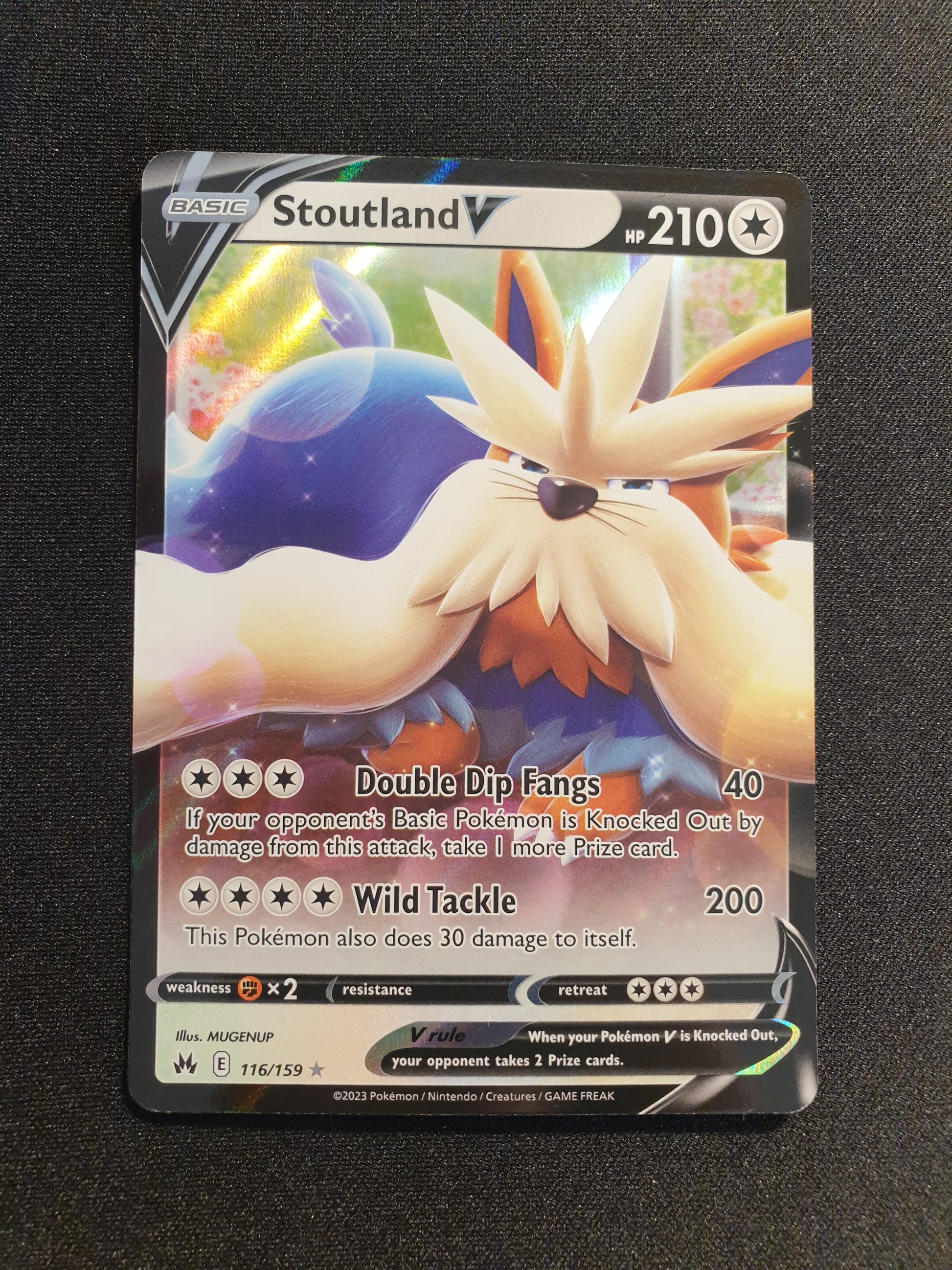 Stoutland V 116/159 (Mint Condition) - TCG Trainers