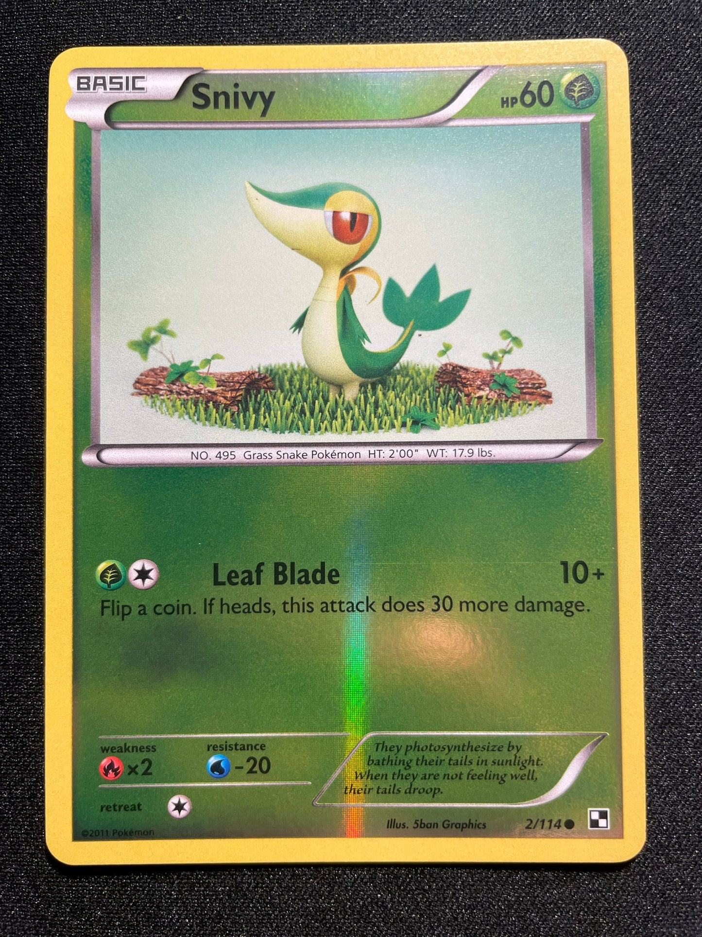 Snivy 2/114 Holo (Mint Condition) - Black & White Base Set - TCG Trainers